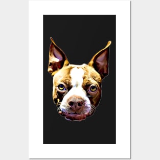 Boston Terrier Gift Ideas Cartoon Boston Terrier Face Posters and Art